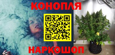apvp Моздок